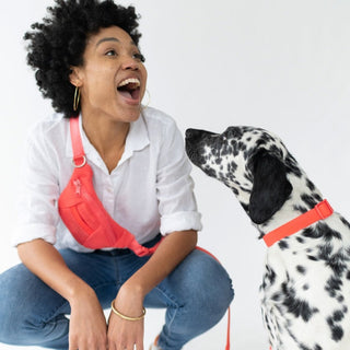 Sling Bag + Dog Leash Poppy