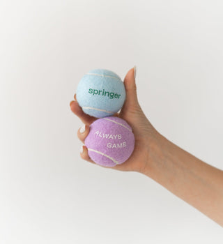 Dog Tennis Balls Pack of 4