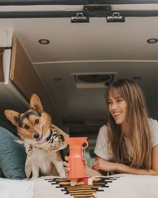 a girl setting in a car with dog and dog drinking from water bottle.