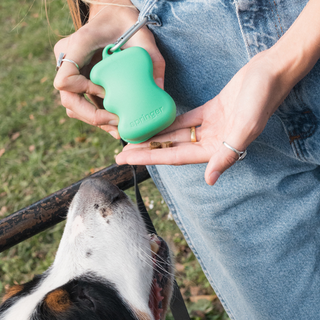 TREAT TIME, ANYTIME: WHY OUR DOG TREAT DISPENSER IS A MUST
