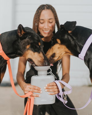 a girl setting on a bench and  holding a water bottle and a dog drinking water from that bottle