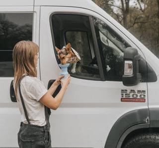 OUR FAVORITE DOG FRIENDLY ROAD TRIP ESSENTIALS FOR SUMMER