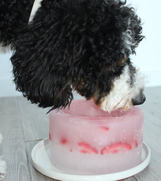 Goat Milk & Banana Ice Bowl