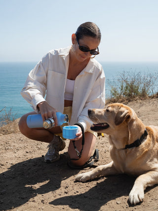 TOP DOG-FRIENDLY TRAVEL DESTINATIONS IN THE U.S.