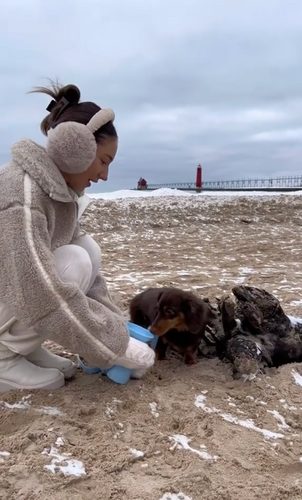 THE ESSENTIAL GUIDE TO DOG HYDRATION IN WINTER