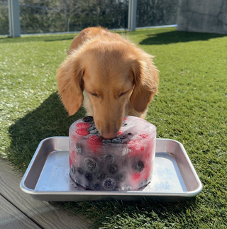 Berry Beet Antioxidant Ice Bowl