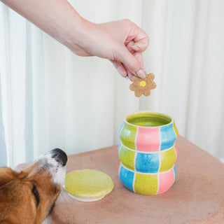 IN CONVERSATION WITH LYNDSIE HARRIS OF CERAMIC SAGUARO