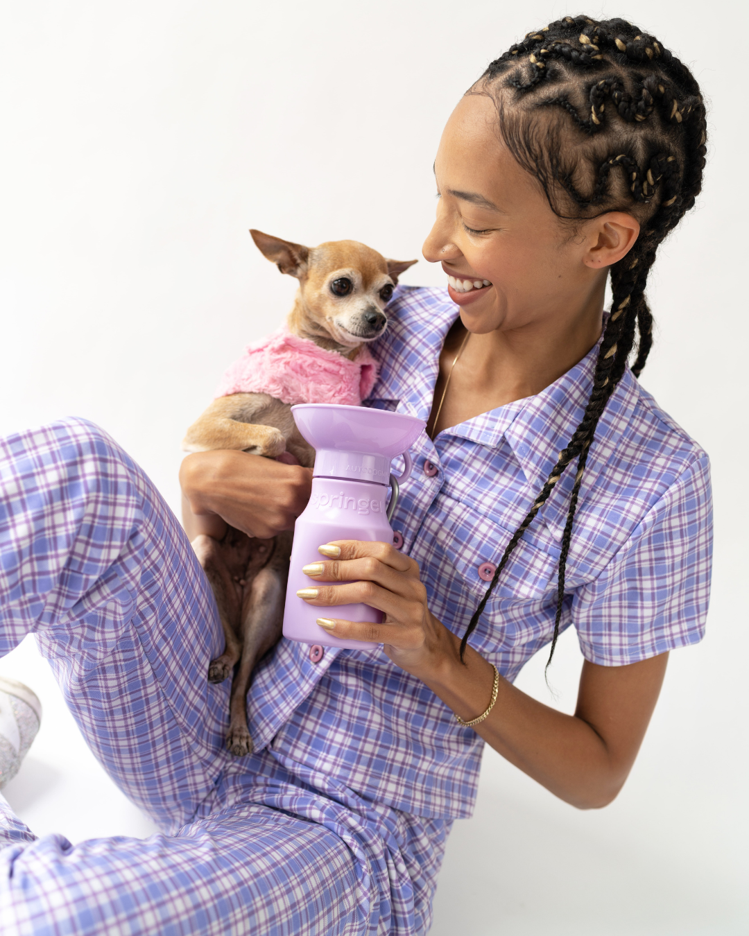 The best dog sweaters & jackets? | Springer - Springland Pets