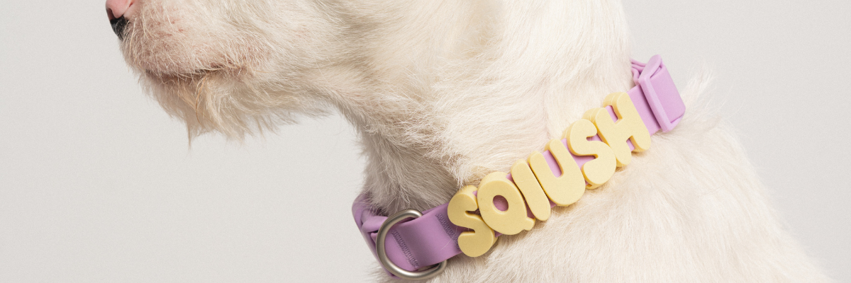 Spring Land Collars Personalize With Charms - Springland Pets