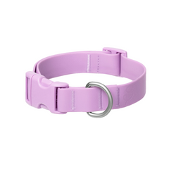Personalized Waterproof Dog Collar with Charms