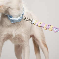 Waterproof Dog Leash + Collar Set