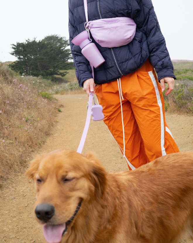 Springland Pets |Personalized Dog Essentials