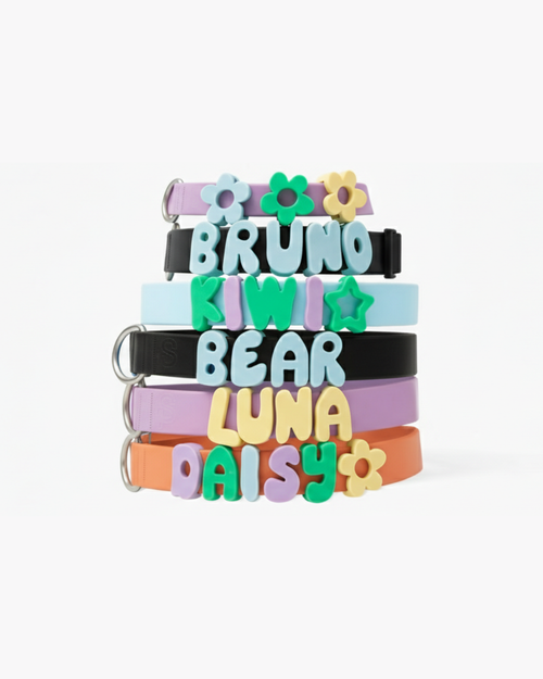 Personalized Original Waterproof Dog Collar with Charms