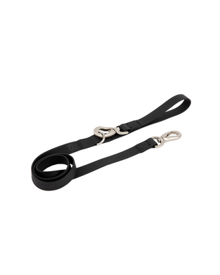City Dog Leash