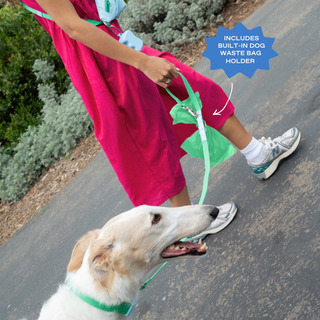 Person walking a white dog on a green leash with built-in waste bag holder on a sunny path
