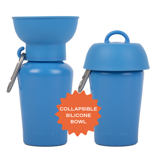 Springer Flip Dog Travel Water Bottle Blueberry