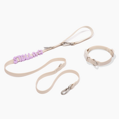 Beige waterproof dog collar, leash, and leash with purple letter charms spelling STELLA on light background