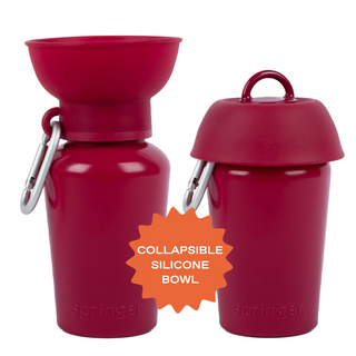 Springer Mulberry Flip Dog Travel Water