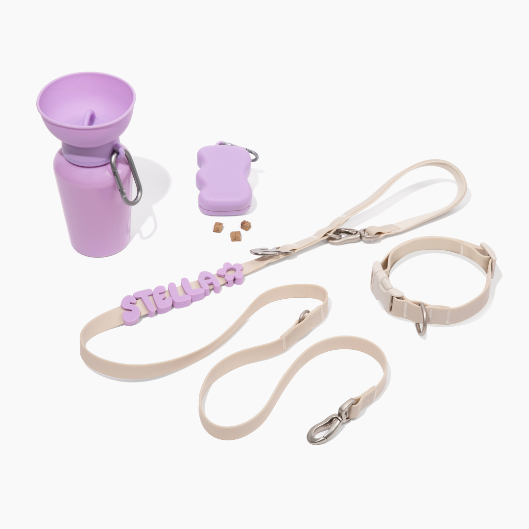 The Complete Dog Walking Set - Springland Pets