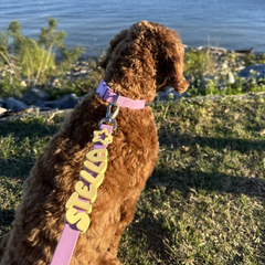 Personalized Waterproof Dog Leash with Charms - 5ft
