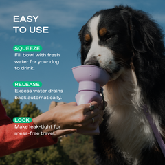 20oz Flip Travel Dog Water Bottle