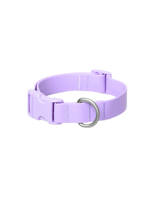 Personalized Original Waterproof Dog Collar with Charms