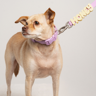 Personalized Waterproof Dog Leash with Charms - 5ft