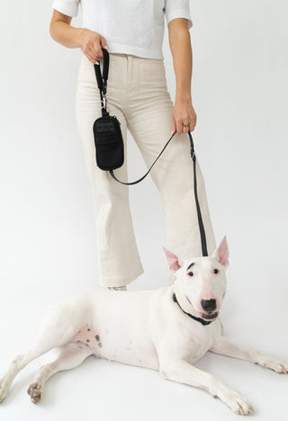 Walk Bag + Dog Leash Black