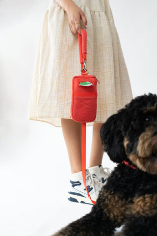 Walk Bag + Dog Leash Poppy