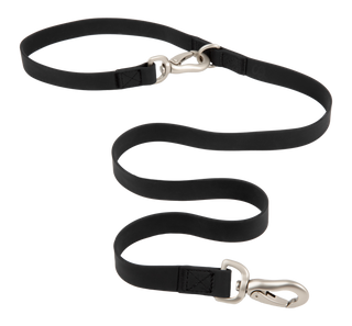 City Dog Leash