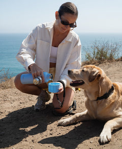 24oz Dog & Me Insulated Travel Dog Water Bottle