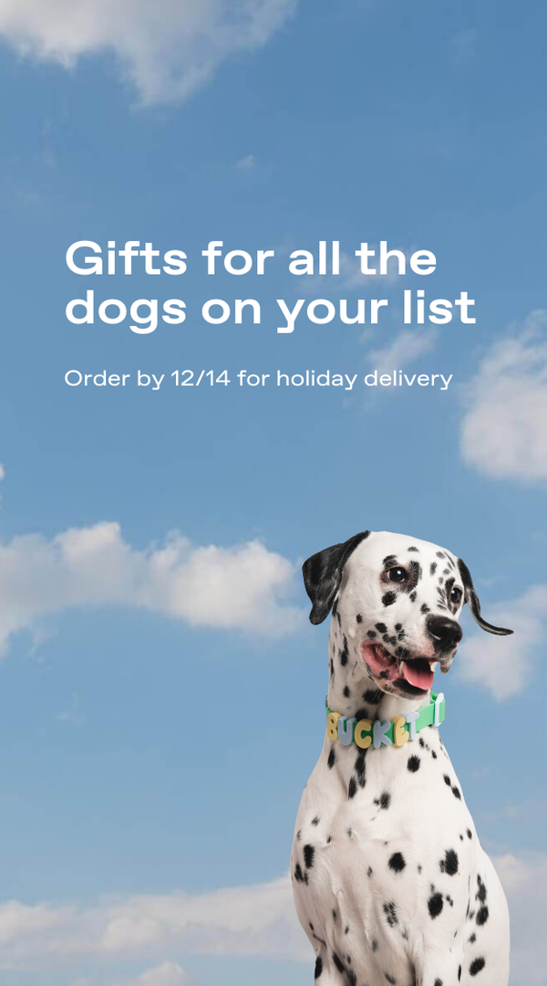 Springland Pets | Innovative Dog Essentials + Dog Travel Water Bottle