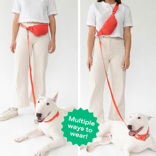 Sling Bag + Dog Leash Poppy