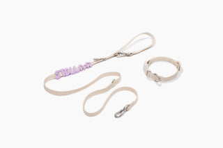 Core Walk Set collar and leash with lilac name charms Oat