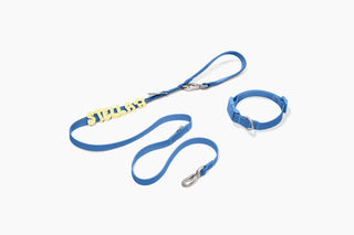 Core Walk Set collar and leash with yellow name charms Blueberry