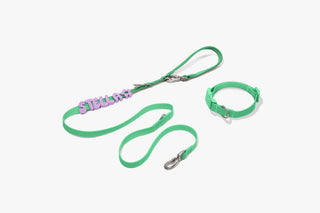 Core Walk Set collar and leash with lilac name charms Green