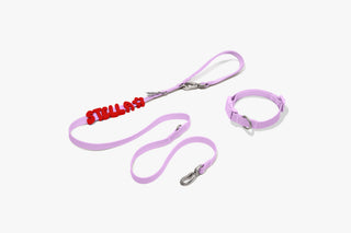 Core Walk Set collar and leash with red name charms Lilac