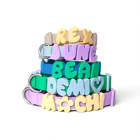 Personalized Collars and Leashes