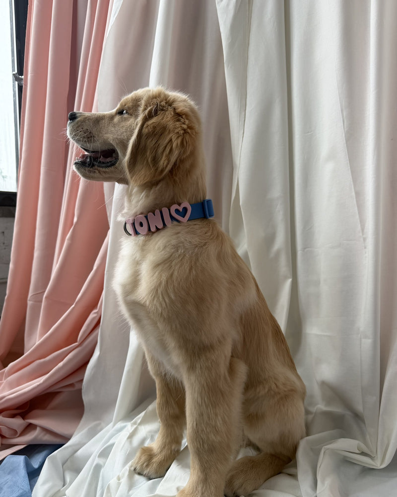 Puppy Gifts