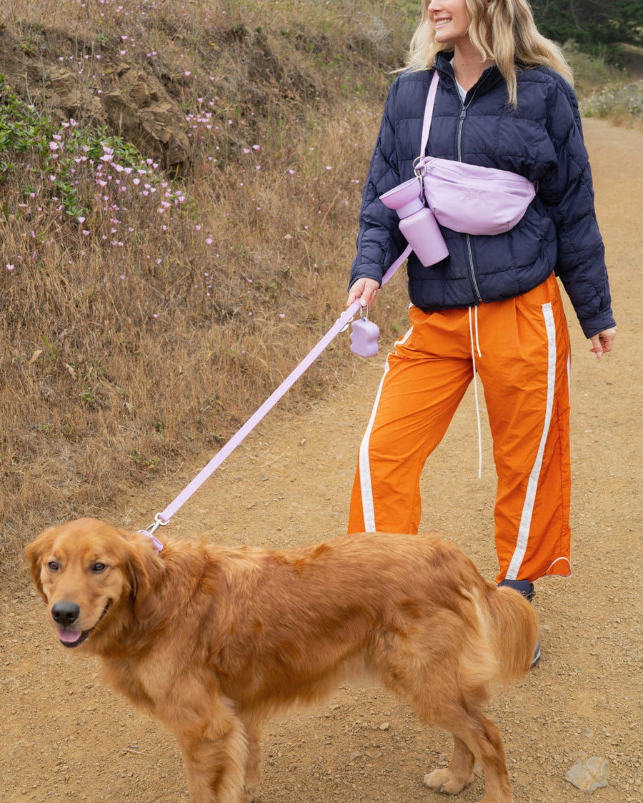 Hands-Free Dog Walking Bag with 4ft Leash