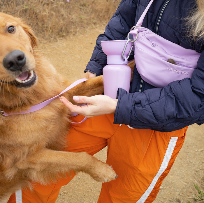 Gifts for Dog Moms