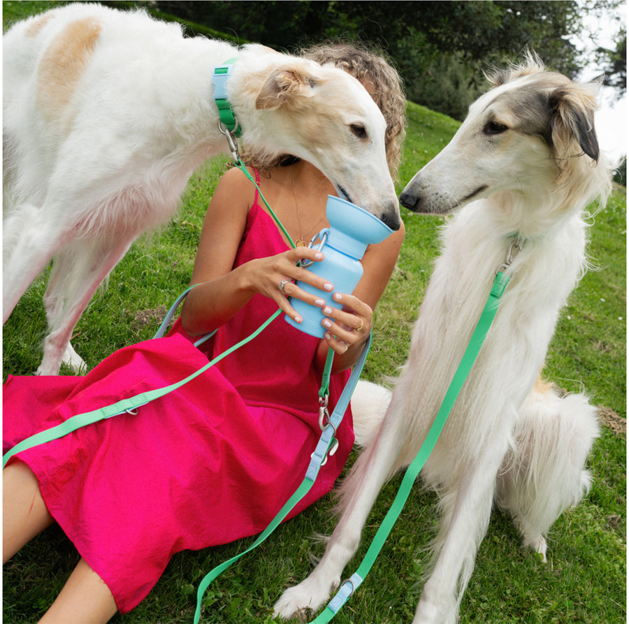 Waterproof Dog Leash + Collar Set