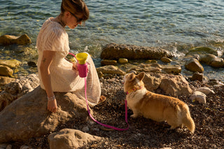 Mediterranean Palma — palma_lifestyle copy.jpg