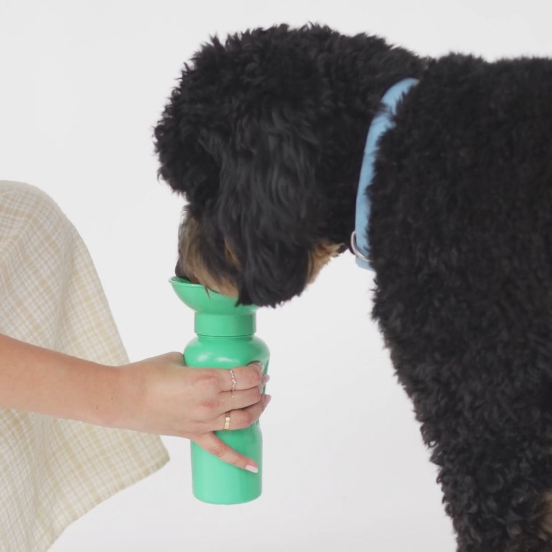 Aqua Dog Water Bottle: Hydration On-the-Go