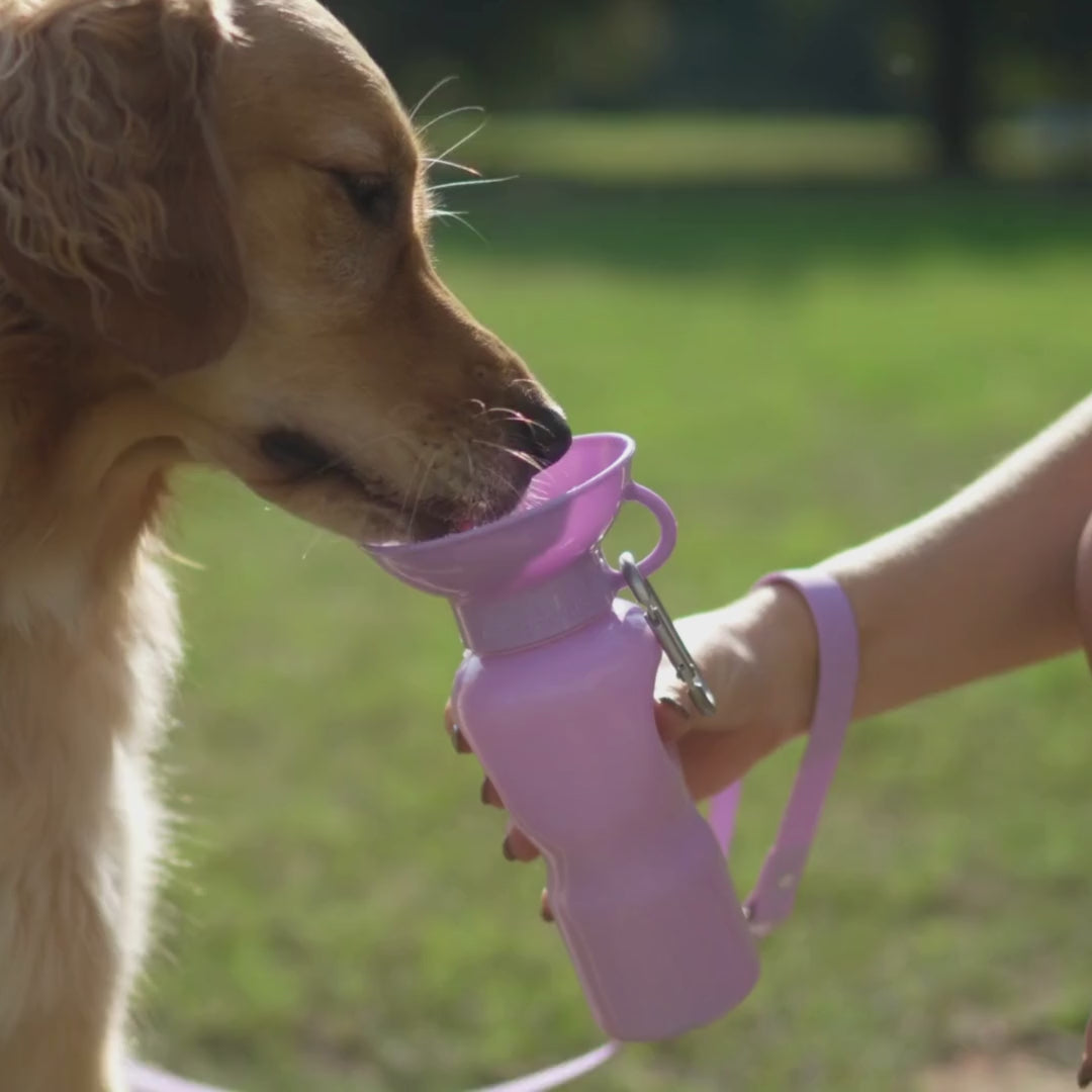 22oz Original Travel Dog Water Bottle - Springland Pets