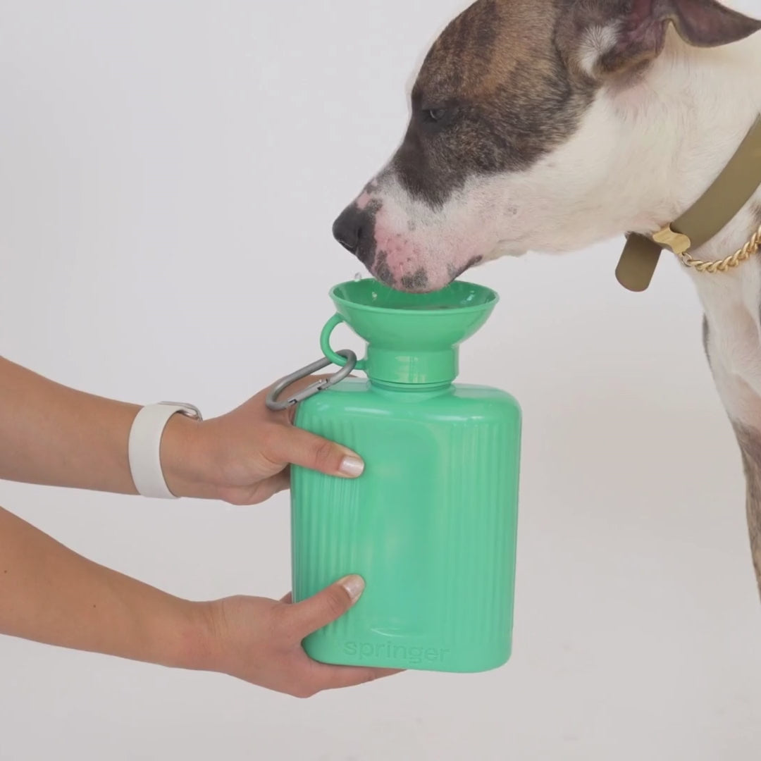 44oz Original Dog Travel Water Bottle - Springland Pets