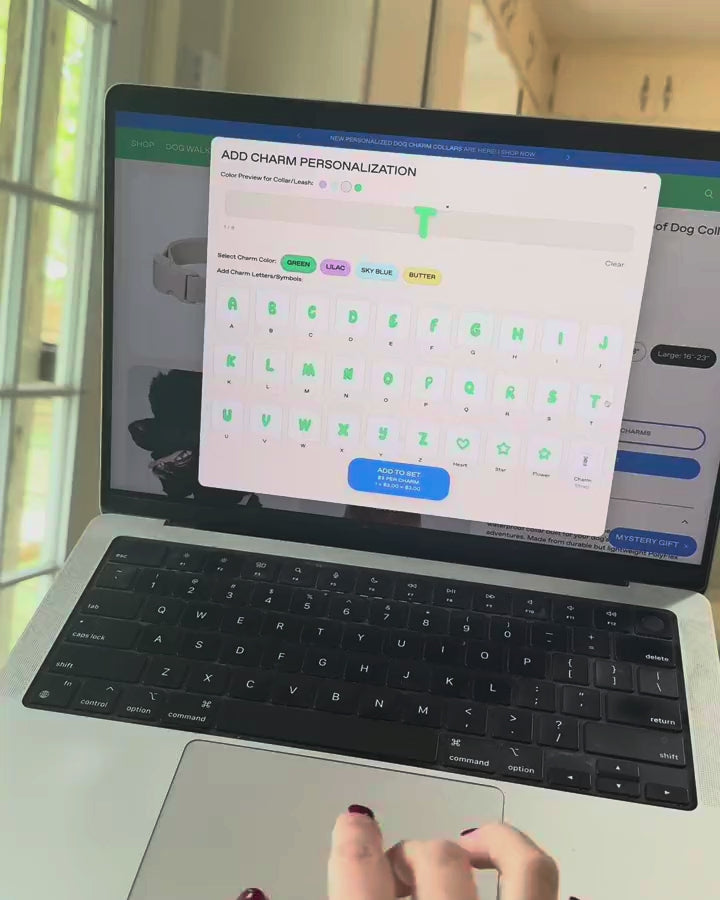 Name typed on screen, the real TEDDY charms pulled off it and put on a doodle collar