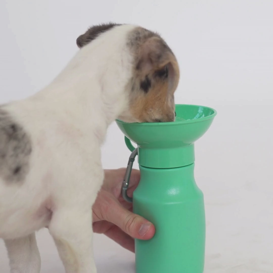 15oz Original Dog Travel Water Bottle - Springland Pets
