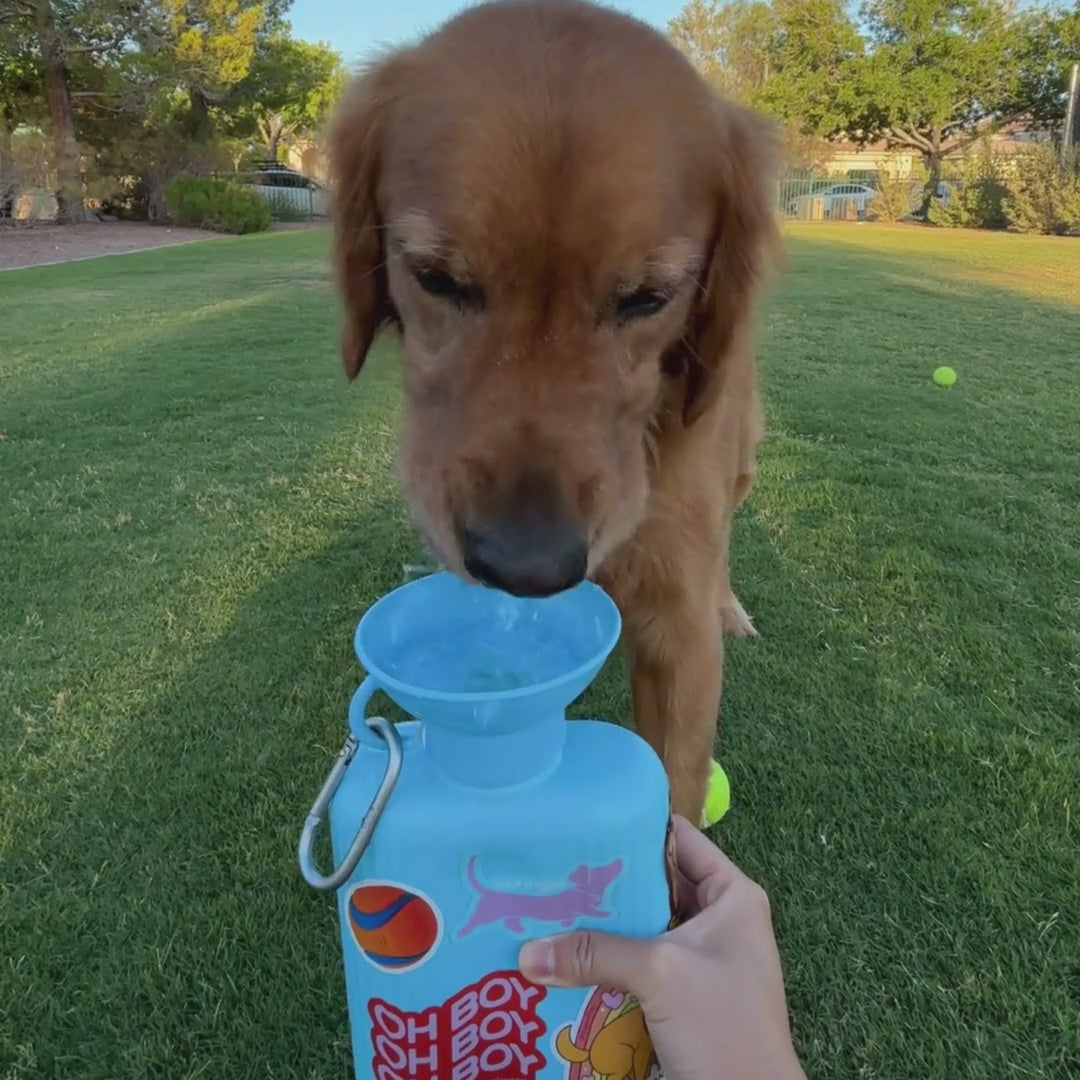 44oz Original Travel Dog Water Bottle - Springland Pets