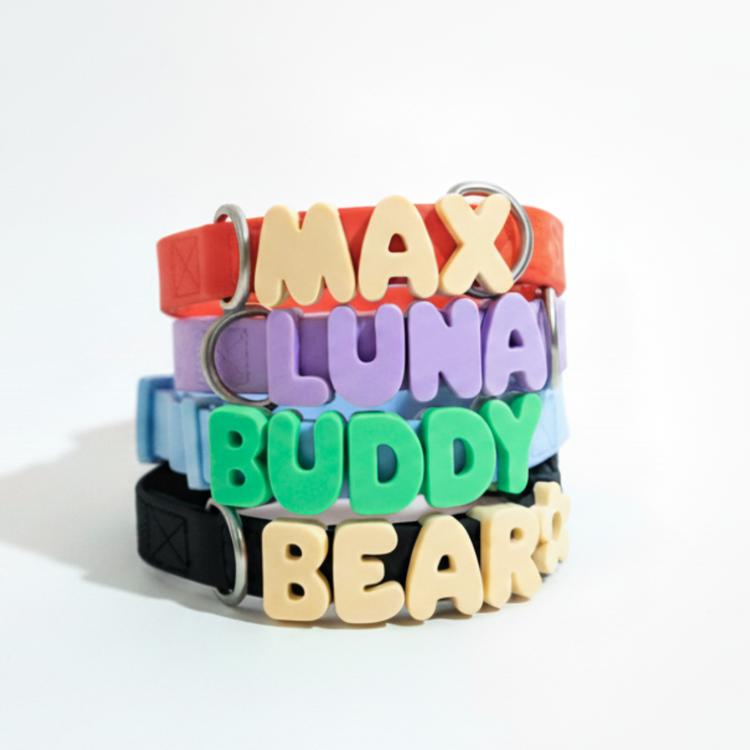 Springlan Collar Shop All Dog Essentials - Springland Pets